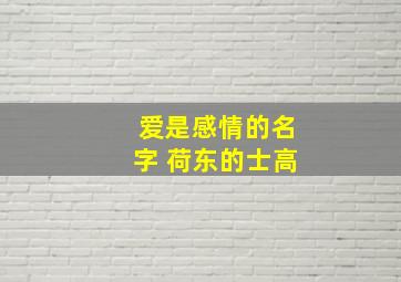 爱是感情的名字 荷东的士高